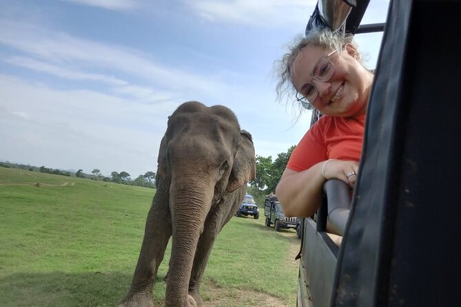 Private Jeep Safari at Minneriya National Park to Visit Elephants - The best part is careful driving