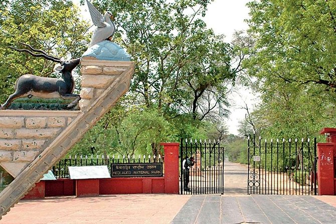 Private Keoladeo National Park Tour sightseeing - All Inclusive - A three-hour rickshaw ride through the park