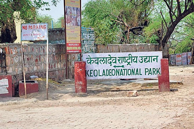 Private Keoladeo National Park Tour sightseeing - All Inclusive - Is $51.03 per person good value?