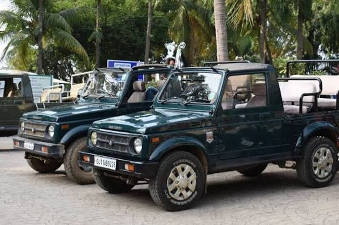 Private Lion Safari in the Gir National Park in Gujarat - Why Gir National Park matters