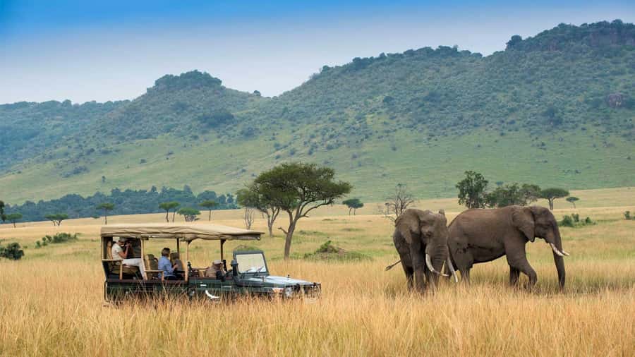 Private Safari Day-Tour in Amboseli National Park - Key points at a glance