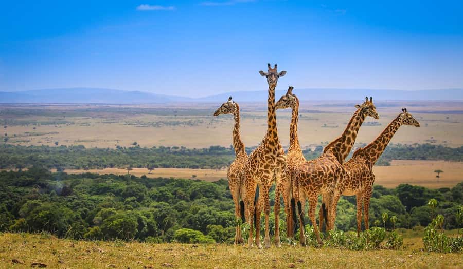 Private Safari Day-Tour in Amboseli National Park - Entering the park and searching for elephants