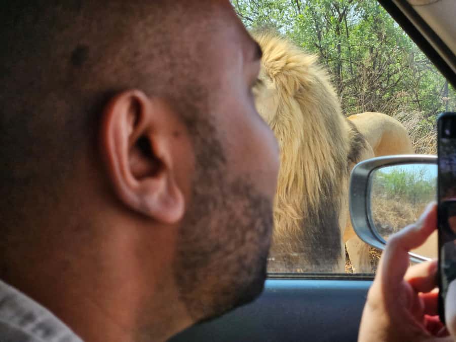 Private Safari Tour: Pilansberg National Park Big 5 - Why Pilanesberg works for a one-day safari