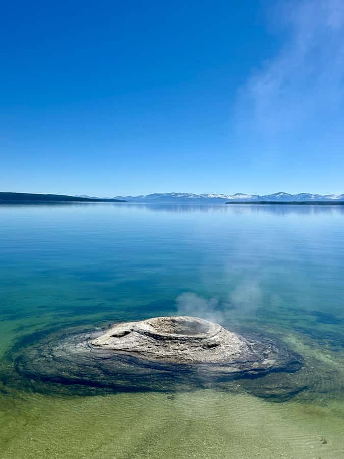 Private Sunset Safari of Grand Teton National Park - How the Wildlife Search Works