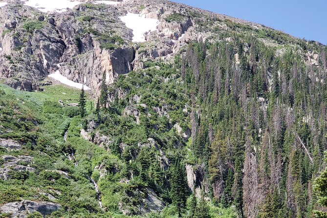 Private Three Hour Afternoon Custom Tour of Rocky Mountain National Park - Winter at Bear Lake and in the forest