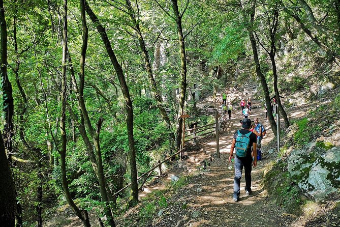 Private Tour: Amalfi Valle delle Ferriere Nature Reserve Walking Tour - What the private guide adds