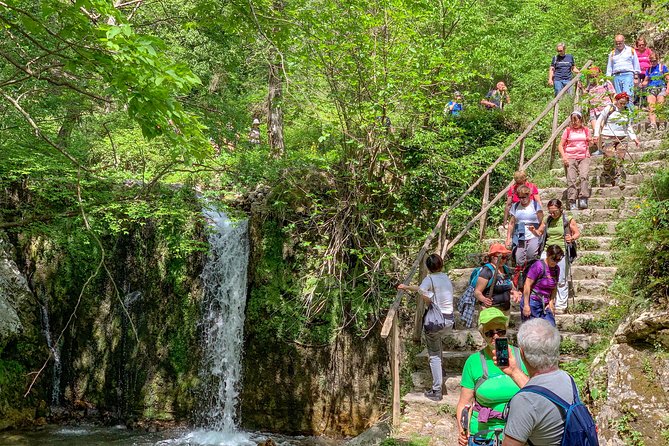 Private Tour: Amalfi Valle delle Ferriere Nature Reserve Walking Tour - Is $178.84 per person good value?