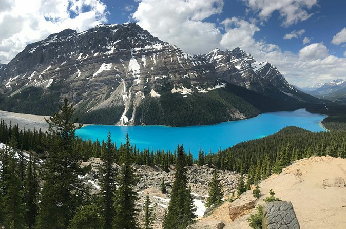 Private Tour Banff Yoho Jasper National Park for a Small Group - The guide and vehicle make the difference