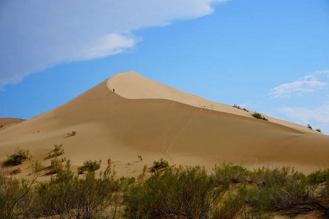 Private tour from Almaty 4 days in National parks all inclusive - Day three: Zharkent, local food, and Charyn Canyon