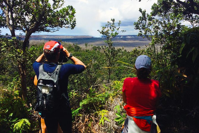 Private Tour: Hawaii Volcanoes National Park Eco Tour - Thurston Lava Tube, a short walk underground