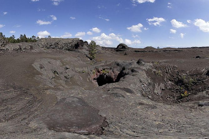 Private Tour: Hawaii Volcanoes National Park Eco Tour - Chain of Craters Road and the route to the sea