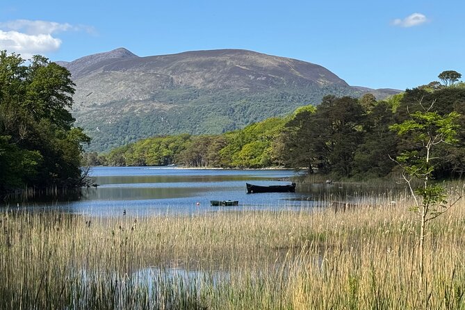 Private Tour Killarney National Park and Ladies View from Cork - Key points at a glance