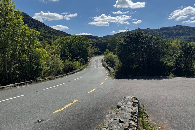 Private Tour Killarney National Park and Ladies View from Cork - Ladies View delivers the postcard moment