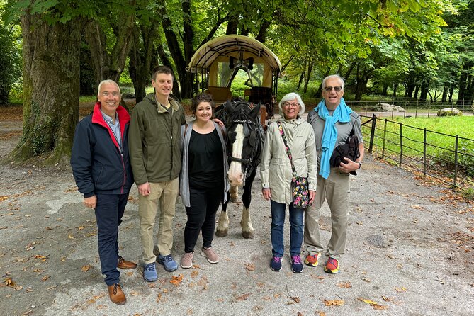 Private Tour Killarney National Park and Ladies View from Cork - Torc Waterfall takes only 30 minutes