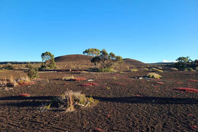 Private Tour of Hawaii Volcanoes National Park - Early morning or a later start?
