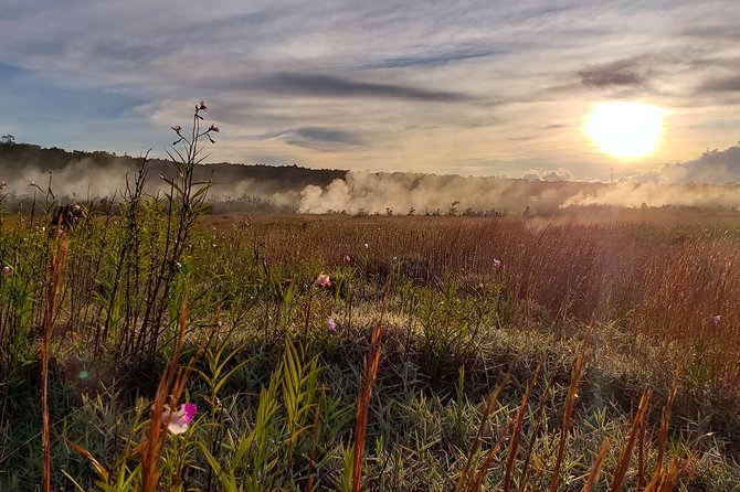 Private Tour of Hawaii Volcanoes National Park - The value of Scott’s guiding style
