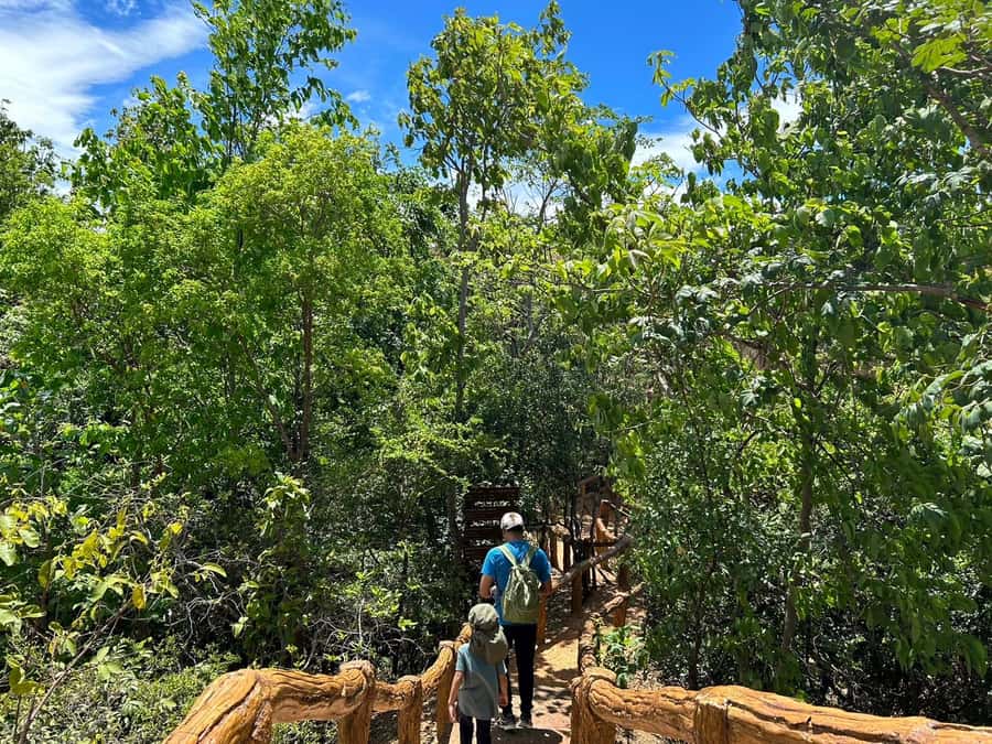 Private Tour Pha Chor Canyon & Doi Inthanon National Park - Lunch and the long climb into Doi Inthanon