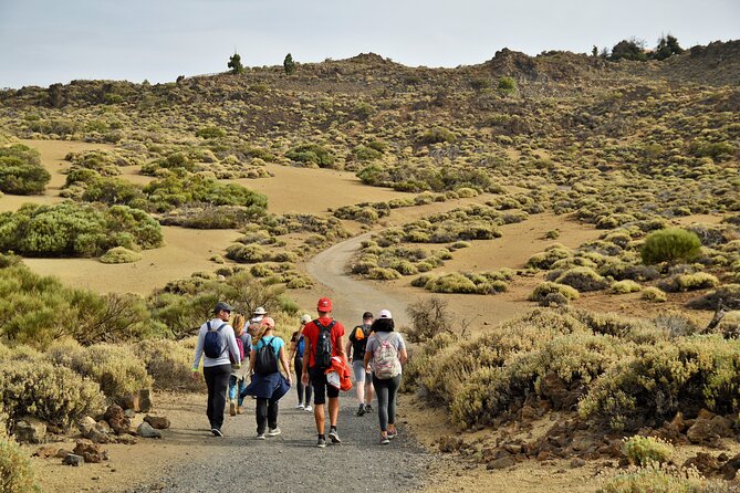 PRIVATE TOUR Teide National Park: Hiking and Stargazing - A seven-hour change from pine forest to night sky