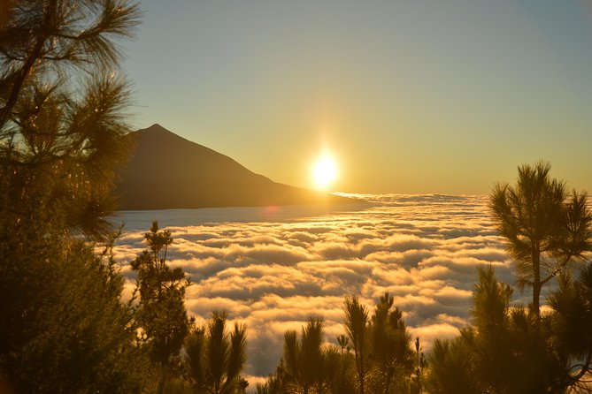PRIVATE TOUR Teide National Park: Hiking and Stargazing - What Javier adds to the experience