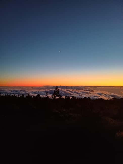 Private tour Tenerife: Teide National Park + Restaurant - What the $123 price gets you