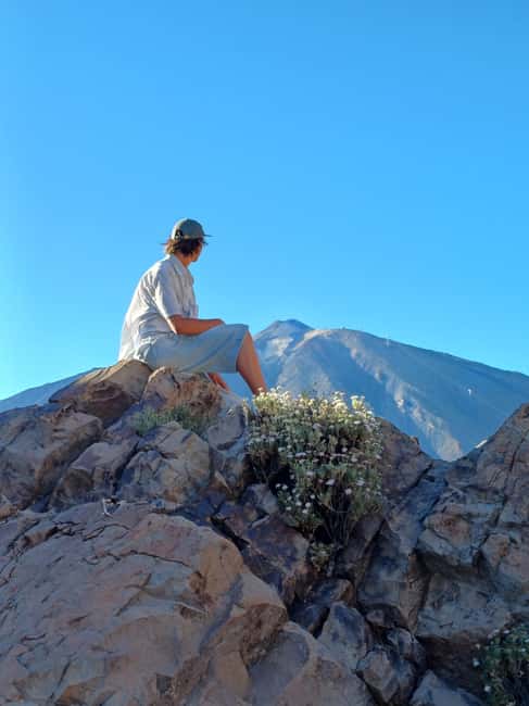 Private tour Tenerife: Teide National Park + Restaurant - Who will enjoy this private Teide tour