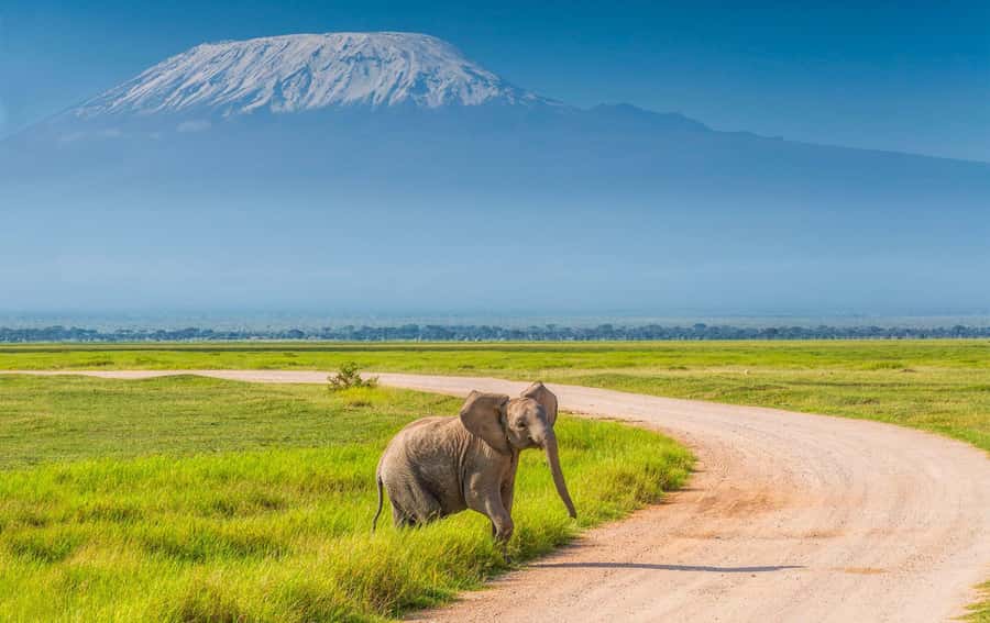 Private Tour to Amboseli National Park - The road through Maasai country