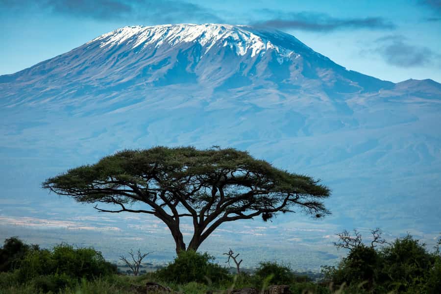 Private Tour to Amboseli National Park - The 5:00 a.m. departure from Nairobi