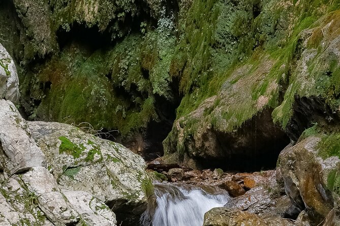 Private Tour Walking in Ferriere Valley Nature Reserve Amalfi - A private guide makes the pace more personal
