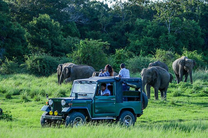 Private Trip to Sigiriya, Dambulla & safari from Colombo/ Negombo - The Pidurangala question