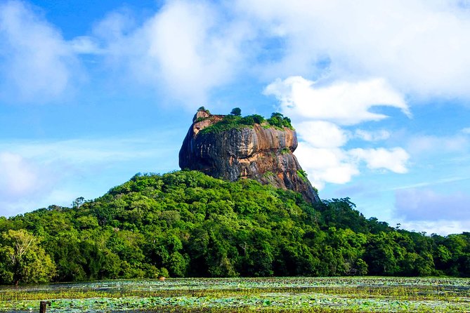 Private Trip to Sigiriya, Dambulla & safari from Colombo/ Negombo - Drivers, communication, and the private format