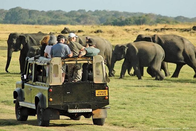 Private Trip to Sigiriya, Dambulla & safari from Colombo/ Negombo - Who will get the most from this tour