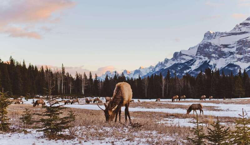PRIVATE Wilderness and Wildlife Walking Tour - 3hrs - Why the private format matters