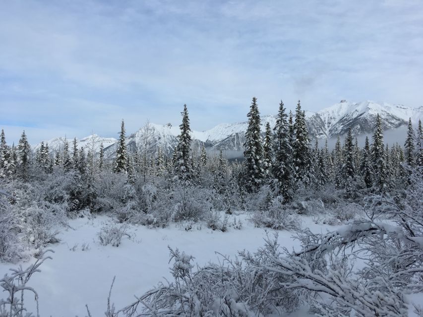 PRIVATE Wilderness and Wildlife Walking Tour - 3hrs - What the three-hour walk may feel like