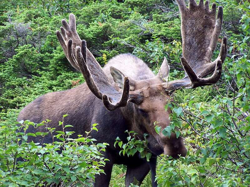 PRIVATE Wilderness and Wildlife Walking Tour - 3hrs - Who gets the most value from this tour
