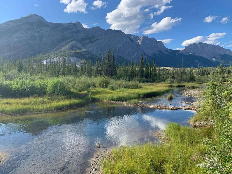 PRIVATE Wilderness and Wildlife Walking Tour - 3hrs - A guide who connects wildlife with local history
