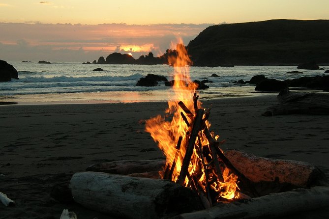 Private Yala Safari Day Trip & Exclusive Beach BBQ Dinner - What the private format adds