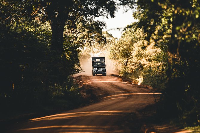 Private Yala Safari Day Trip & Exclusive Beach BBQ Dinner - Booking details that matter