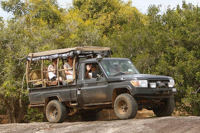 Private Yala Safari Day Trip & Exclusive Beach BBQ Dinner - The shift from safari to Palatupana beach