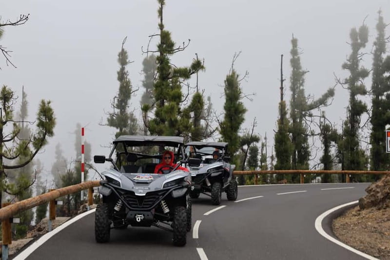 Puerto de la Cruz: Teide National Park Buggy Tour - From Puerto de la Cruz to the volcanic high country