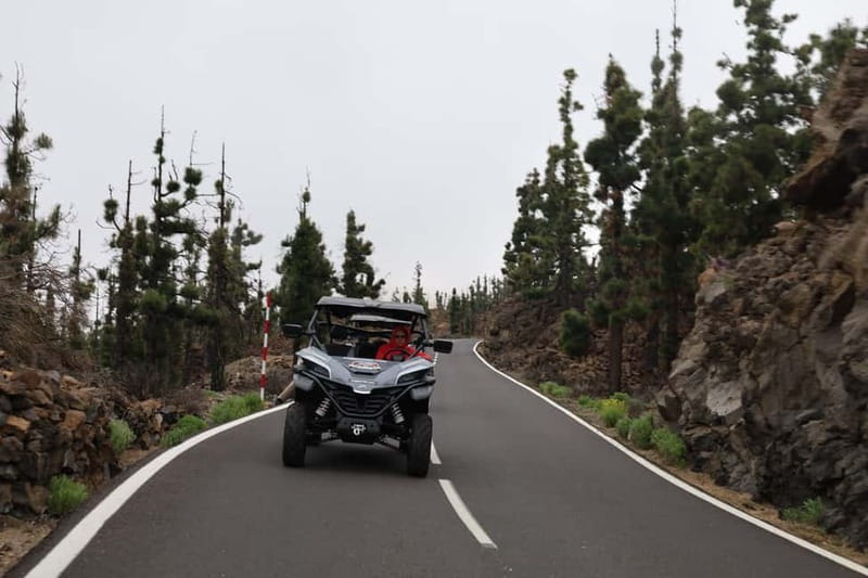 Puerto de la Cruz: Teide National Park Buggy Tour - Above the sea of clouds