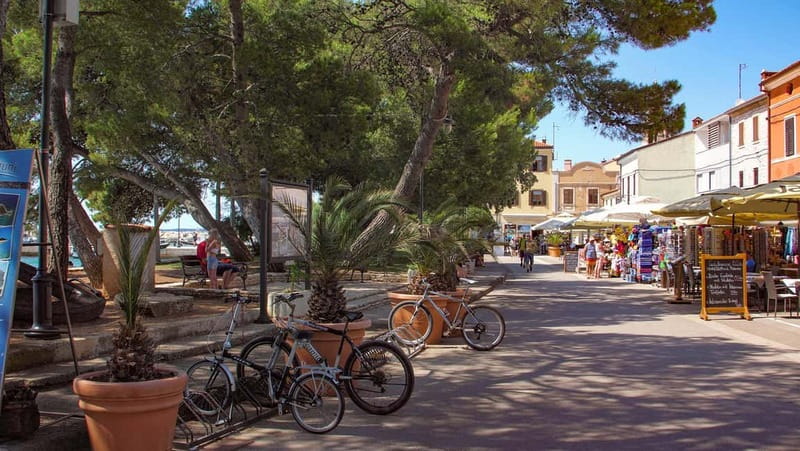 Pula: Brijuni National Park Cruise, Lunch and Fažana Beach - Who will enjoy this Pula cruise most