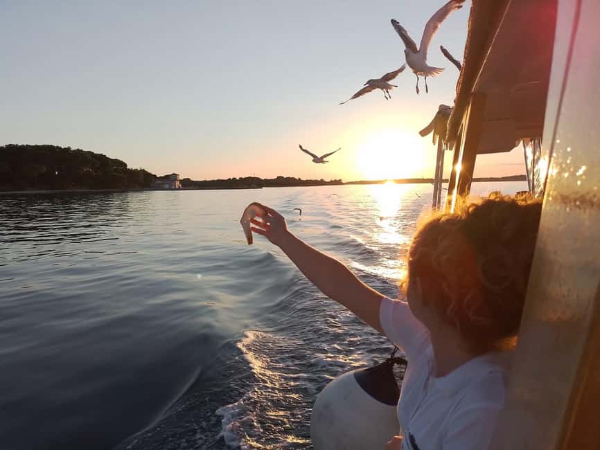 Pula: Brijuni National Park Dolphin Watching Tour w/Dinner - Practical Details Before You Book