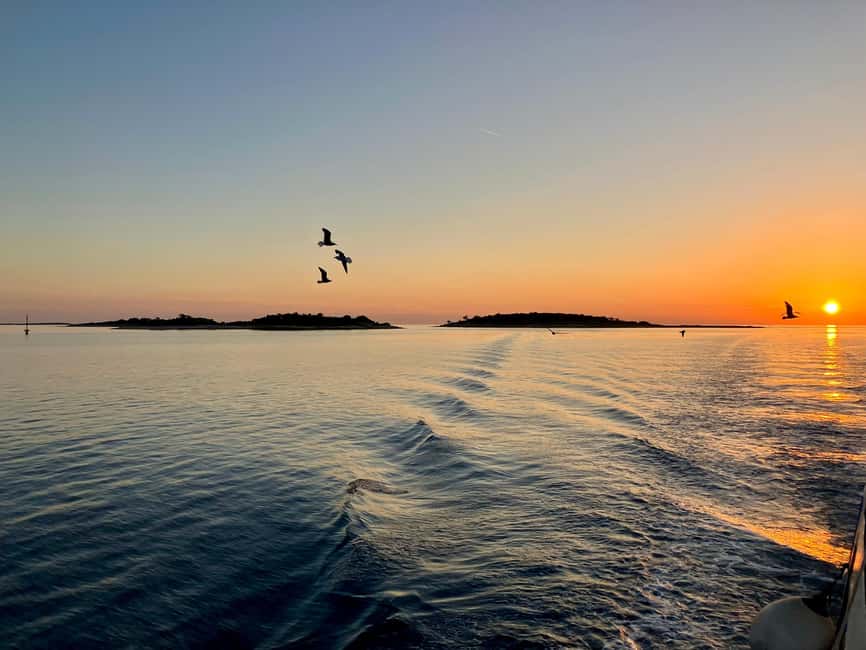 Pula: Brijuni National Park Sunset Cruise with Open Bar - Meeting the Europa boat in Pula