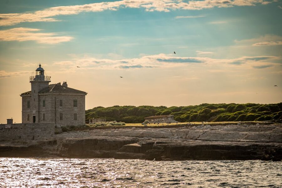 Pula: Brijuni National Park Sunset, Dolphins & Dinner Cruise - Should you book the Brijuni sunset cruise?