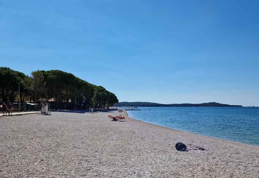 Pula: Brijuni National Park & Swimming Tour (in Fažana) - What to bring and how to plan the day
