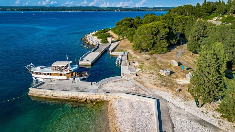 Pula: National Park Brijuni, 2 swimming stops, lunch, drinks - What the €65 price really covers