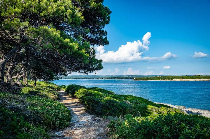 Pula: National Park Brijuni, 2 swimming stops, lunch, drinks - The first swim comes with a slide