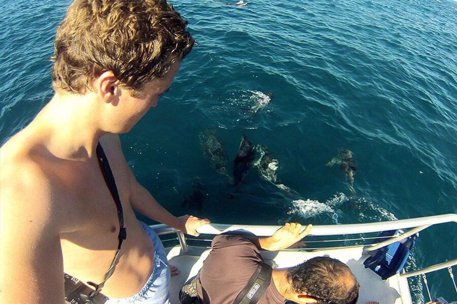 Pula: National Park Brijuni Dolphin Cruise with Dinner - What the $67 price includes