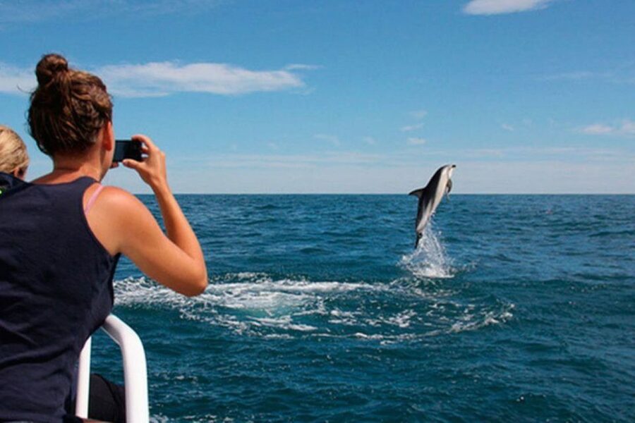 Pula: National Park Brijuni Island Visit & Dolphin Cruise - FAQ