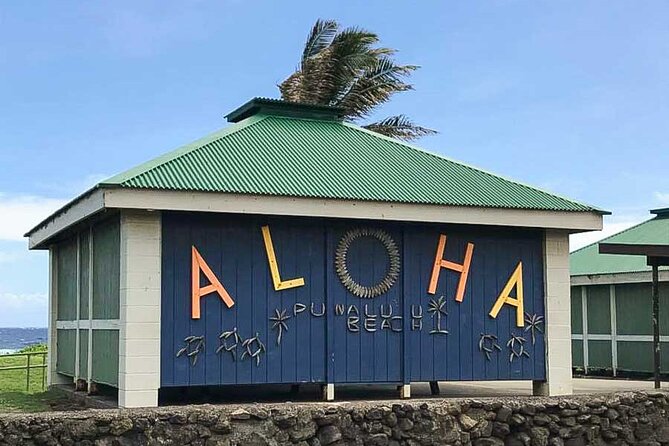 Punalu’u Black Sand Beach Tour - Volcanoes National Park & Hilo - Hilo’s gardens, waterfalls, and historic markers